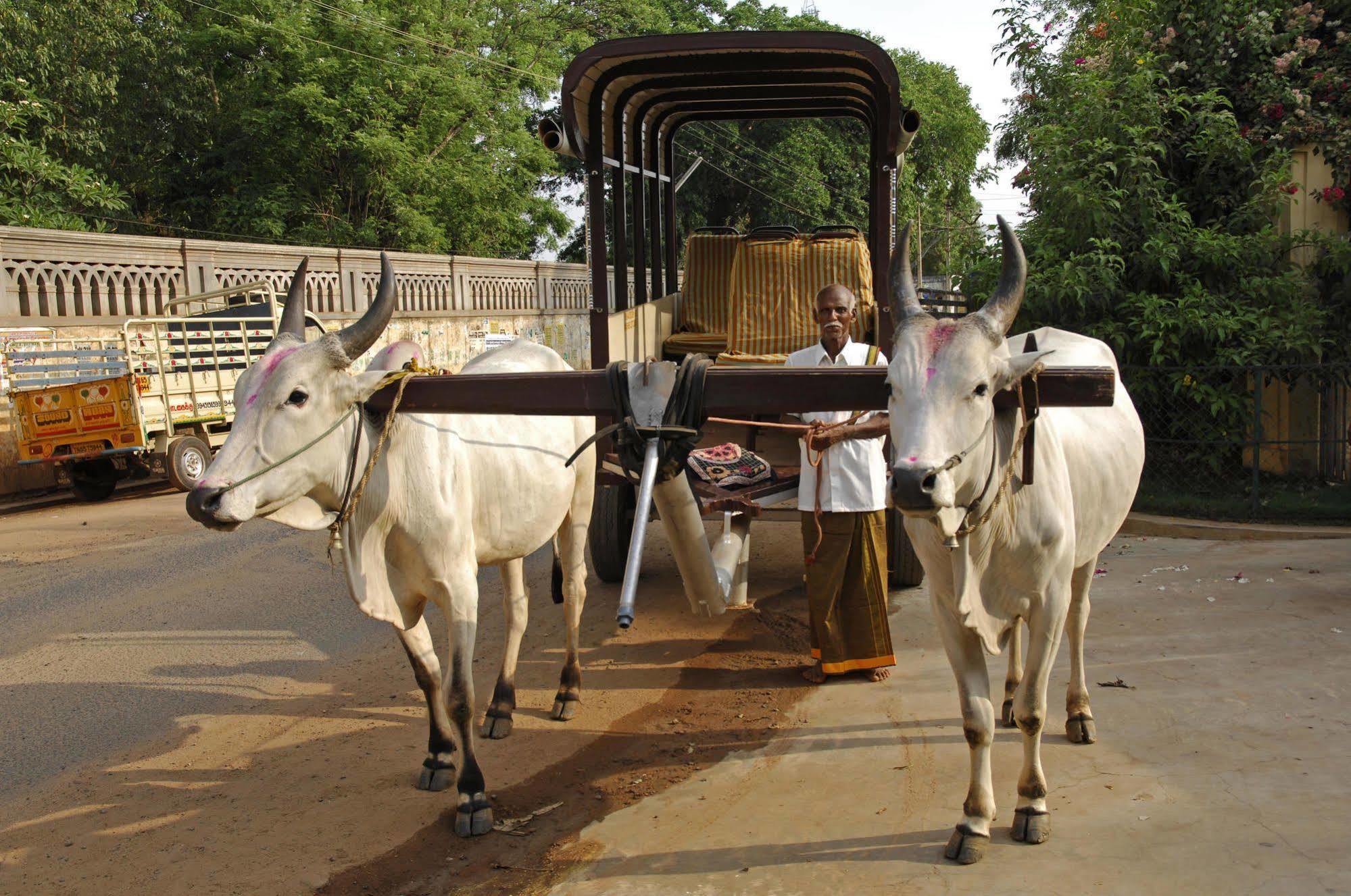 Kānādukāttān Visalam Chettinad Palace - A Cgh Earth Experience מראה חיצוני תמונה